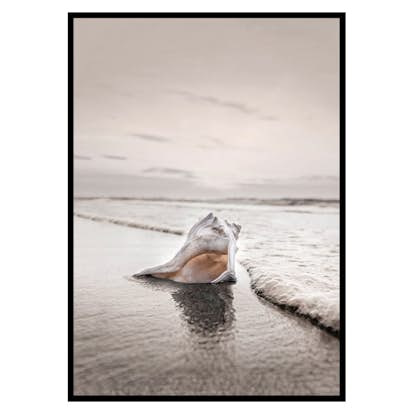 Poster Gallerix Shell On Beach