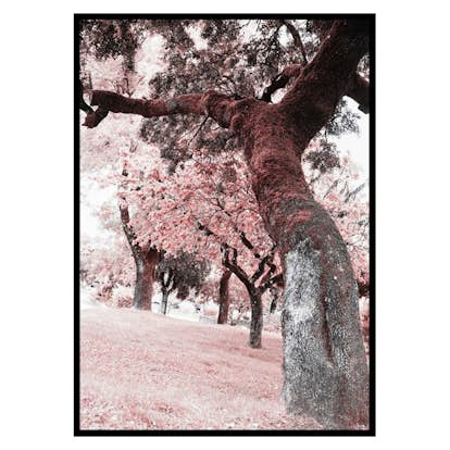 Poster Gallerix Pink Trees No2