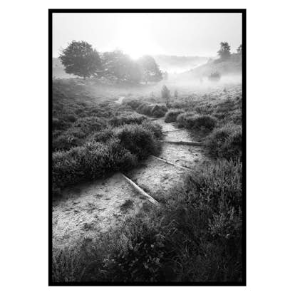 Poster Gallerix Foggy Road