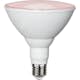 LED-lampa Star Trading E27 PAR38 Plant Light Röd