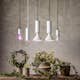 LED-lampa Star Trading E14 PAR16 PlantLigh