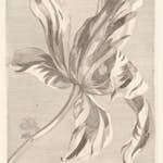 Fototapet Eijffinger Masterpiece 358117