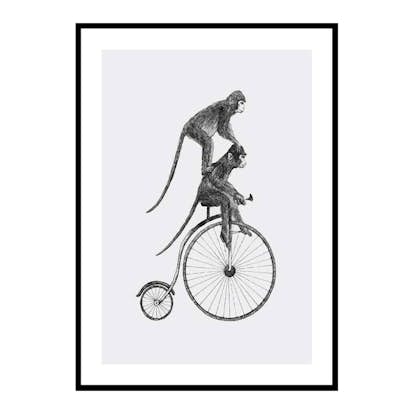 Poster Gallerix Monkeys On A Bike