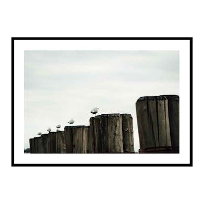 Poster Gallerix Seagulls Harbor