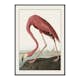 Poster Gallerix Flamingo 1827