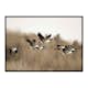 Poster Gallerix Canada Geese
