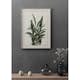 Poster Gallerix Alpinia