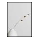 Poster Gallerix Dried Flower White Vase