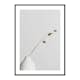 Poster Gallerix Dried Flower White Vase