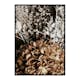 Poster Gallerix Dried Bouquet
