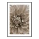 Poster Gallerix Autumn Dahlia