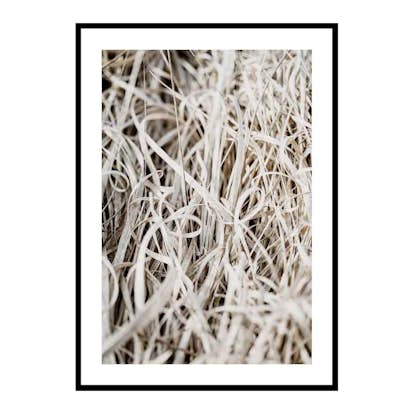 Poster Gallerix Grass