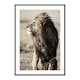 Poster Gallerix Lion In Profile