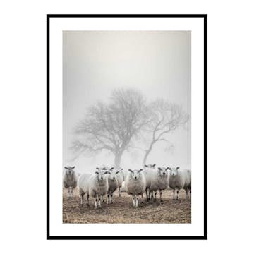 Poster Gallerix Sheep In Fog