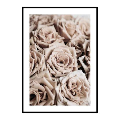 Poster Gallerix Roses