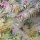 Tapet AS Creation Dream Flowery 38179-3