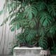 Tapet Living walls The Wall 38241-1