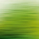 Tapet Living walls The Wall 38261-1