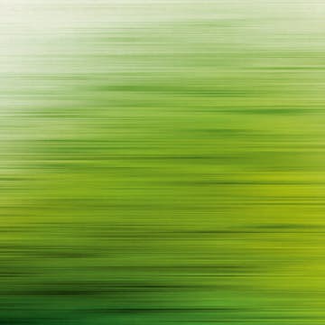 Tapet Living walls The Wall 38261-1