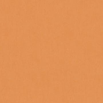 Tapet AS Creation Dream Flowery 3832-66