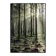 Poster Gallerix Sunbeam Forest