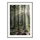 Poster Gallerix Sunbeam Forest