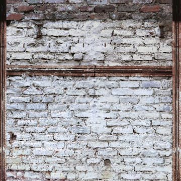 Tapet Living walls The Wall 38350-1