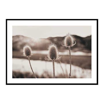 Poster Gallerix Flowers In Meadow