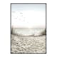 Poster Gallerix Seagulls Sandy Beach
