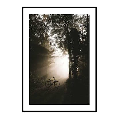 Poster Gallerix Bike In Forest