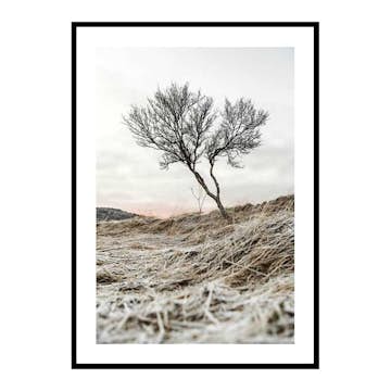 Poster Gallerix Iceland Tree