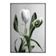 Poster Gallerix Tulip Flower