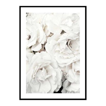 Poster Gallerix Bouquet Of White Peonies
