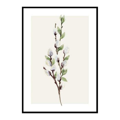 Poster Gallerix Willow Branches