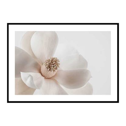 Poster Gallerix Beige Magnolia No1