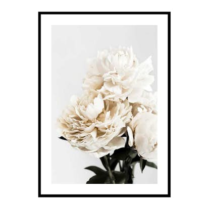 Poster Gallerix Peonies Closeup