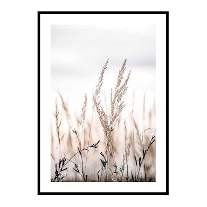 Poster Gallerix Sunset In The Field