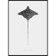 Poster Gallerix Eagle Ray
