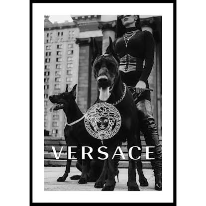 Poster Gallerix Versace Fashion