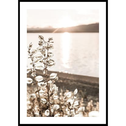 Poster Gallerix Autumn Meadow