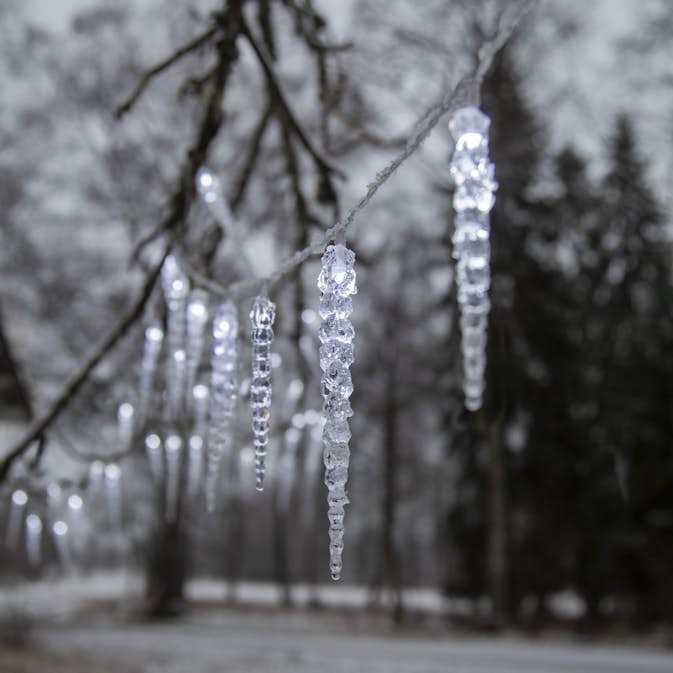 Istappsslinga Star Trading Gelido 50 st