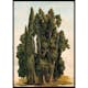 Poster Gallerix Villa d'Este By Gustaf Wilhelm Palm