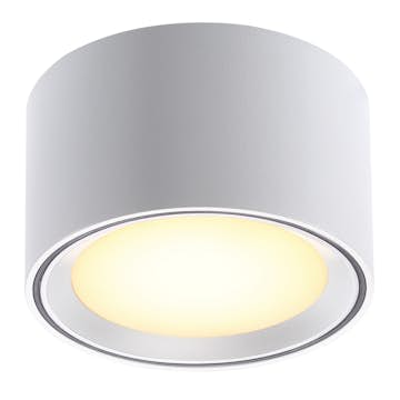 Taklampa Nordlux Fallon 60