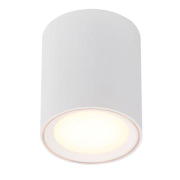Taklampa Nordlux Fallon 120