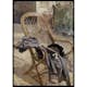 Poster Gallerix Study for Modern Art By Carl Larsson