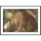 Poster Gallerix Stackars Lilla Basse av John Bauer