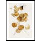 Poster Gallerix Eucalyptus Gold No4