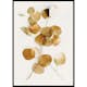 Poster Gallerix Eucalyptus Gold No4