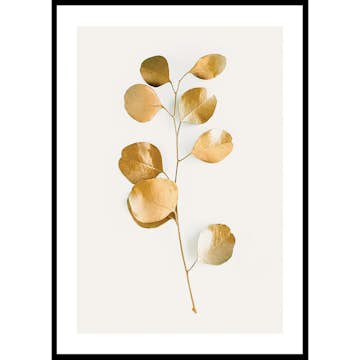 Poster Gallerix Eucalyptus Gold No3