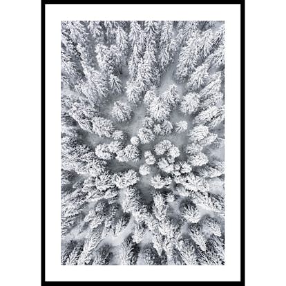 Poster Gallerix Snow Forest Aerial